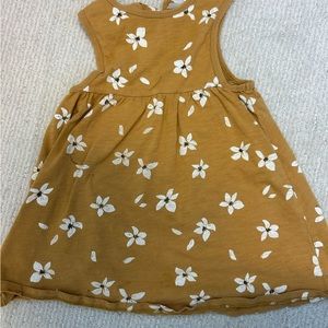 Rylee and cru play condition 2-3 t